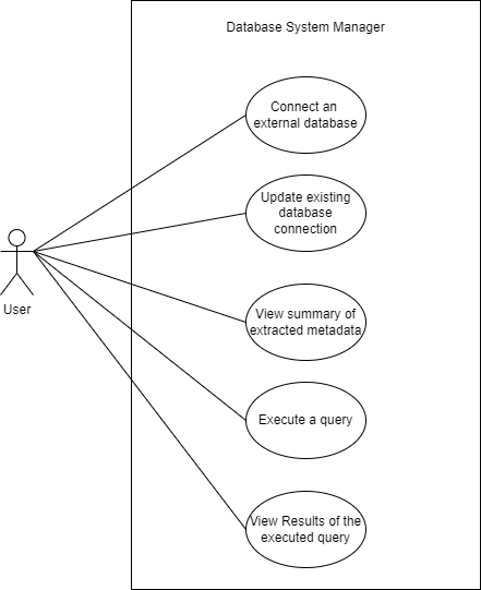 Database system manager Diagram